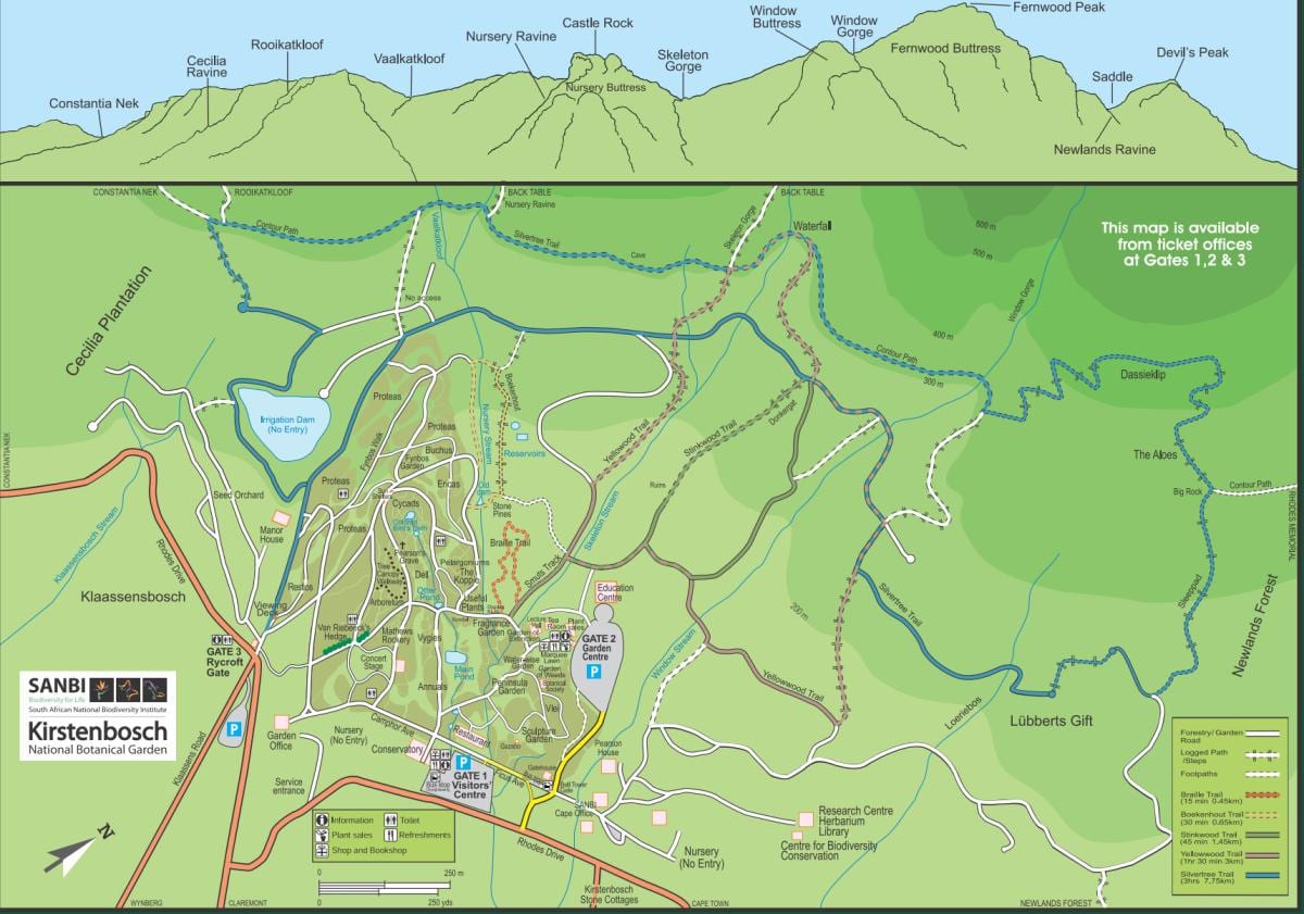 kirstenbosch xardíns botánicos mapa